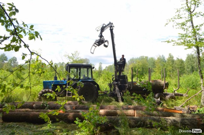 Цуманська пуща