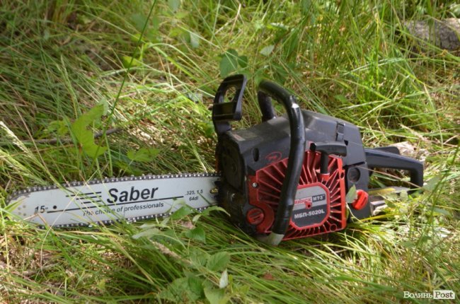 Цуманська пуща