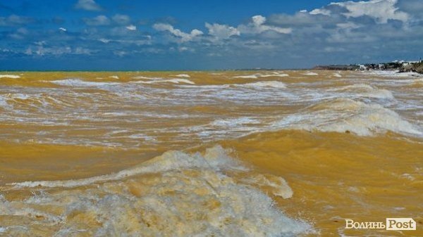 У Криму море стало жовтого кольору. ФОТО
