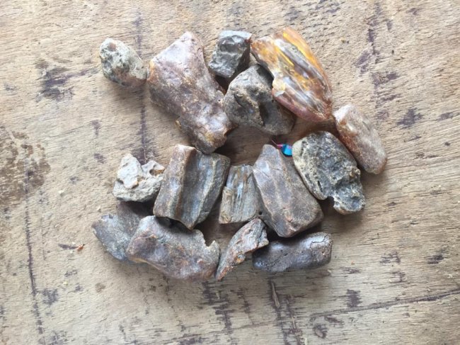 Волинянин бусом хотів перевезти до Польщі 12 кілограмів бурштину. ВІДЕО