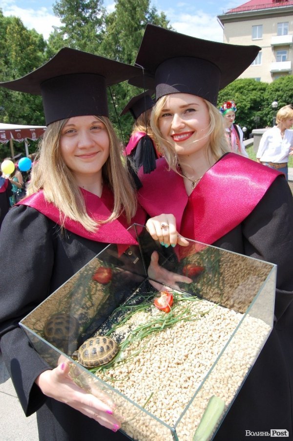 Коцану подарували черепаху. ФОТО