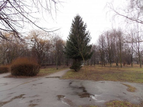 Гектар луцького парку хочуть повернути громаді через слухання