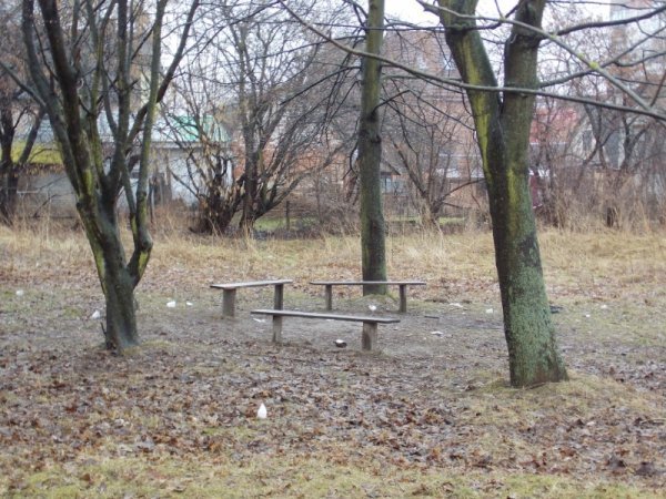 Гектар луцького парку хочуть повернути громаді через слухання