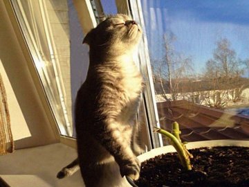 Погода в Луцьку та Волинській області на четвер, 28 березня