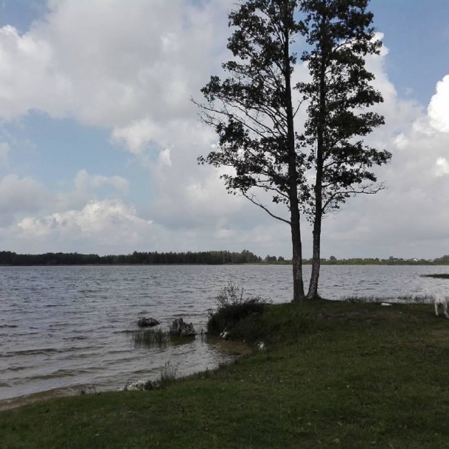 Відпустка-2020: Шацькі озера – у списку місць, де в Україні можна відпочити під час карантину