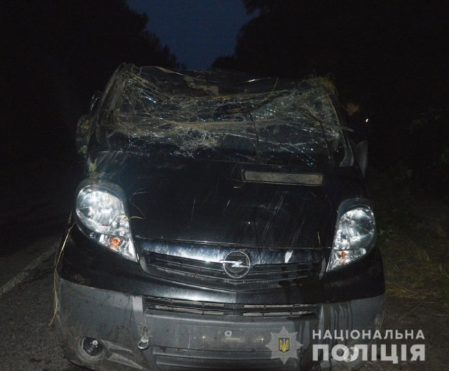 На Волині мінівен з'їхав у кювет і перекинувся: пасажир загинув