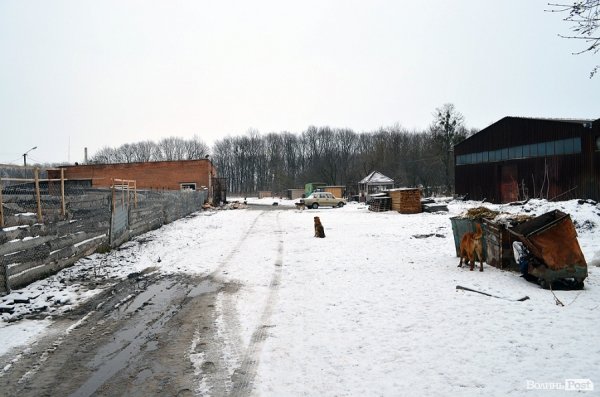 Собачий притулок у Луцьку пережив важку зиму. ФОТО