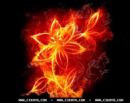 Цікаві приклади «вогняних» світлин та шоу. ФОТО. ВІДЕО