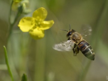 В Україні наступного тижня очікують погіршення погоди