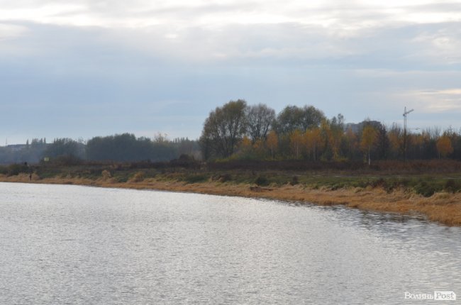 Щука, короп і судак: у луцький Стир випустили тисячі рибин. ФОТО