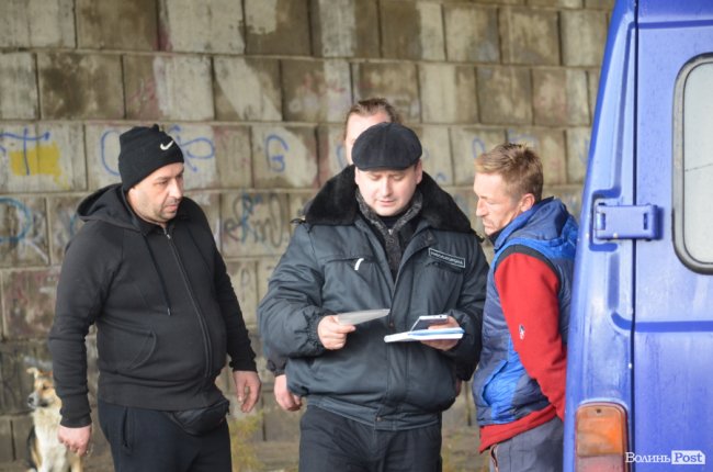 Щука, короп і судак: у луцький Стир випустили тисячі рибин. ФОТО