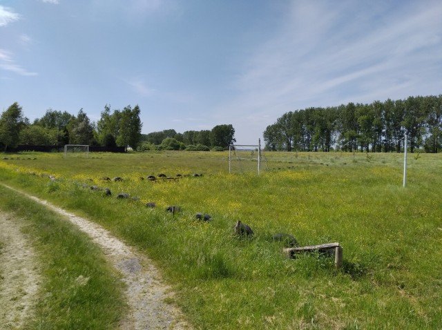 На березі Світязя віддають в оренду комунальну земельну ділянку площею 2,4 га