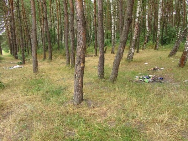 Уїк-енд на сміттєзвалищі: озеро Целєбне в Іваничівському районі. ФОТО