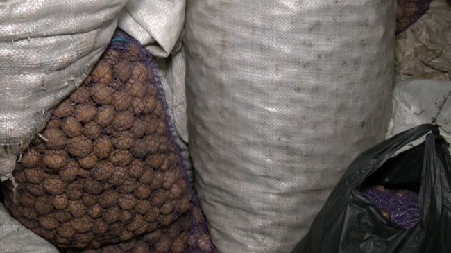 Пенсіонерки з Волині виготовили понад мільйон енергетичних наборів для воїнів. ВІДЕО