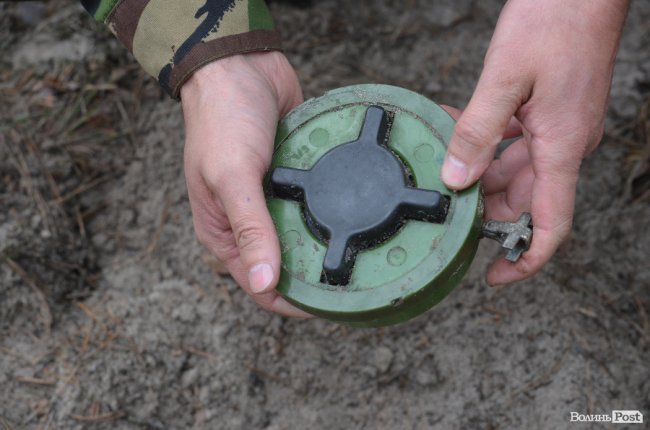 Війна у лісах Волині: підготовка загонів тероборони