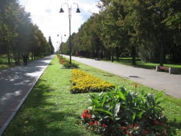 Де і за скільки у центральному парку Луцька планують збудувати туалет