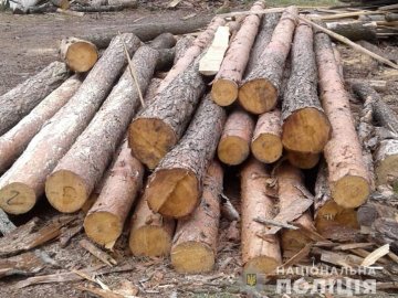 На Волині поліцейський знайшов на пилорамі деревину без документів. ФОТО