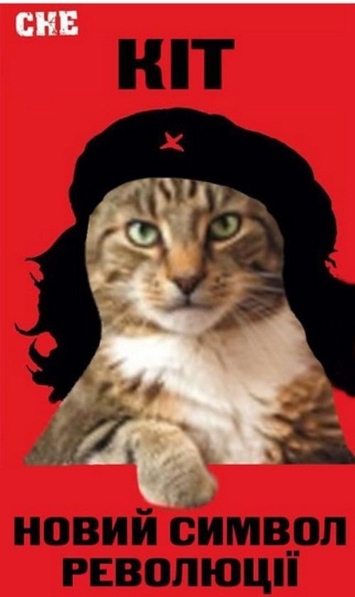 Бабуся і кіт: фотожабоманія триває. ФОТО