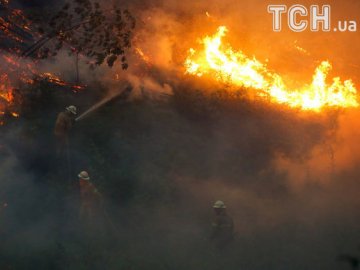 Великі пожежі у Португалії: загинуло 62 людей 