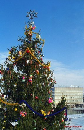 Показали головну ялинку Луцька у різні роки