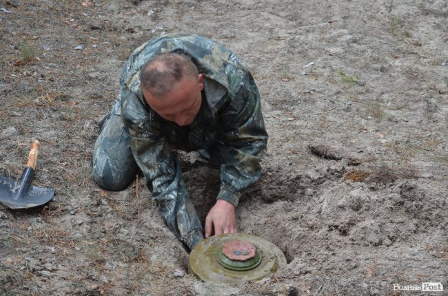 Війна у лісах Волині: підготовка загонів тероборони