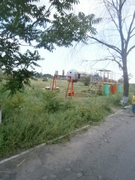 Мерія Луцька: скарг на «Альбатрос» від батьків не було