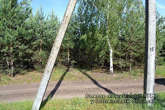 Під час чаркування волинянин жорстоко побив свою співмешканку. ФОТО