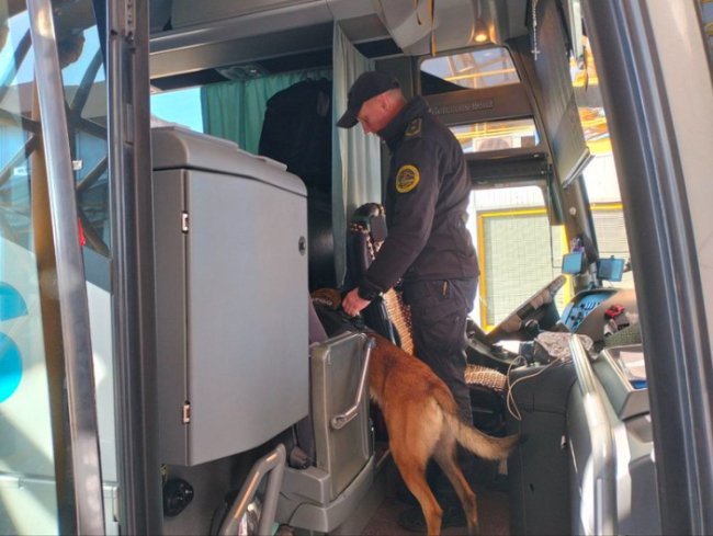 Як службові собаки допомагають шукати наркотики на волинському кордоні. ФОТО, ВІДЕО