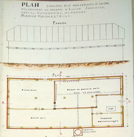Як у Луцьку майже 100 років тому боролись зі смородом 