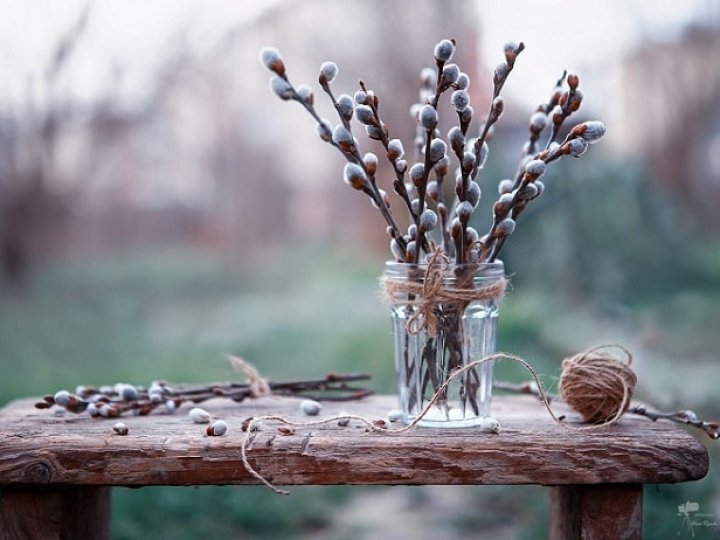 Початок березня на Волині буде по-весняному теплим: прогнози синоптиків