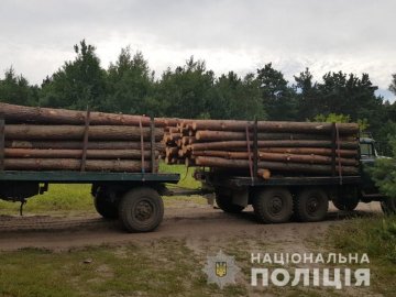 На Волині затримали ЗІЛ з незаконною деревиною