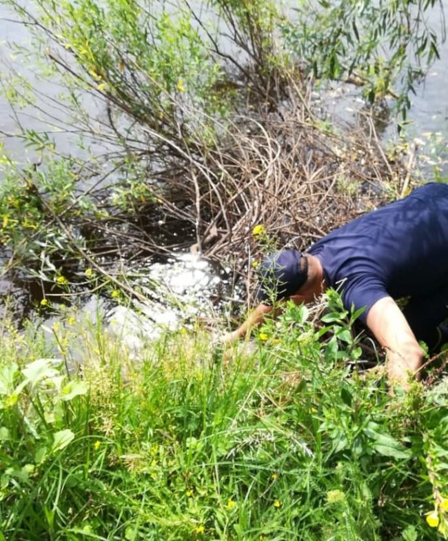 В річці на Рівненщині під час риболовлі втопився чоловік. ФОТО