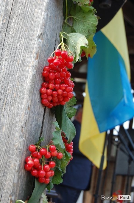 У замку Любарта вітали «ліпших з ліпших» студентів. ФОТО