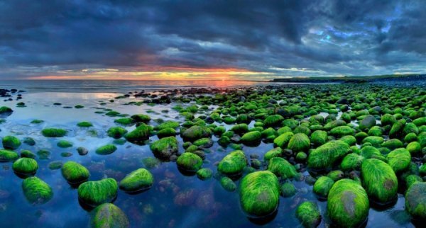 Ісландія: дім на краю світу. ФОТО