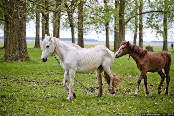 Світязь очима жителя столиці. ФОТО