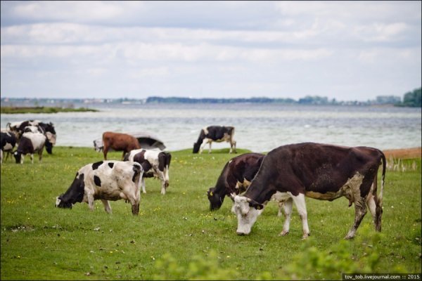 Світязь очима жителя столиці. ФОТО