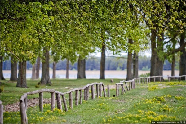 Світязь очима жителя столиці. ФОТО