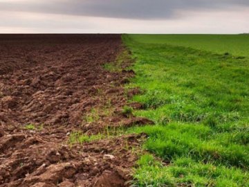 «Дерибан» землі на Горохівщині: прокуратура відкрила кримінальне провадження