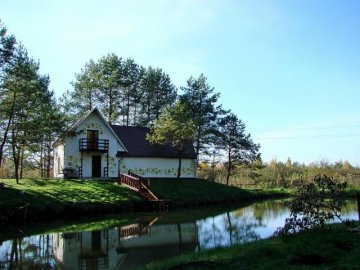 На Волині під час весілля отруїлось 17 людей