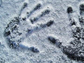 У Луцькому районі знайшли тіло 44-річного чоловіка 