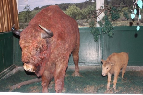 Льотчики Луцького аеродрому відпочили на Світязі. ФОТО