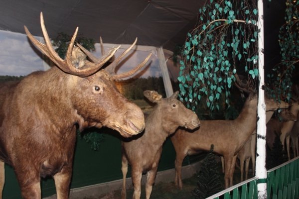Льотчики Луцького аеродрому відпочили на Світязі. ФОТО