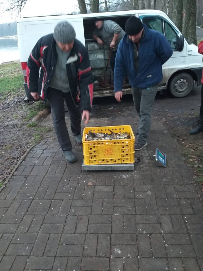 В озеро у Шацькому районі випустили майже тонну риби. ФОТО