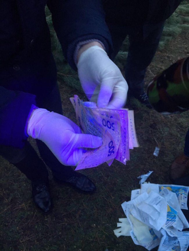 Зіпсували бізнес: на Волині майстер проміняв «ялинки» на хабар