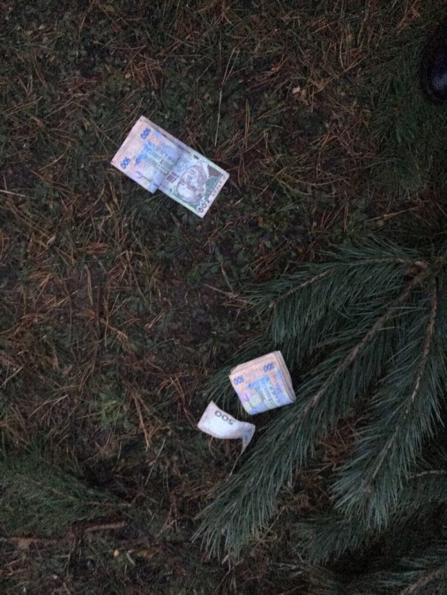 Зіпсували бізнес: на Волині майстер проміняв «ялинки» на хабар