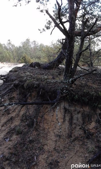 У Шацьку нелегально  видобувають пісок