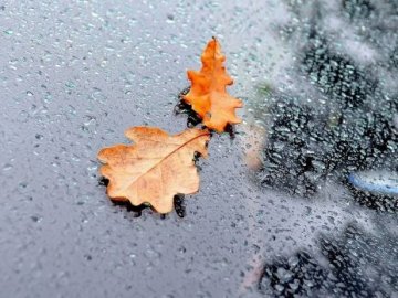 Погода в Луцьку та Волинській області на четвер, 15 листопада