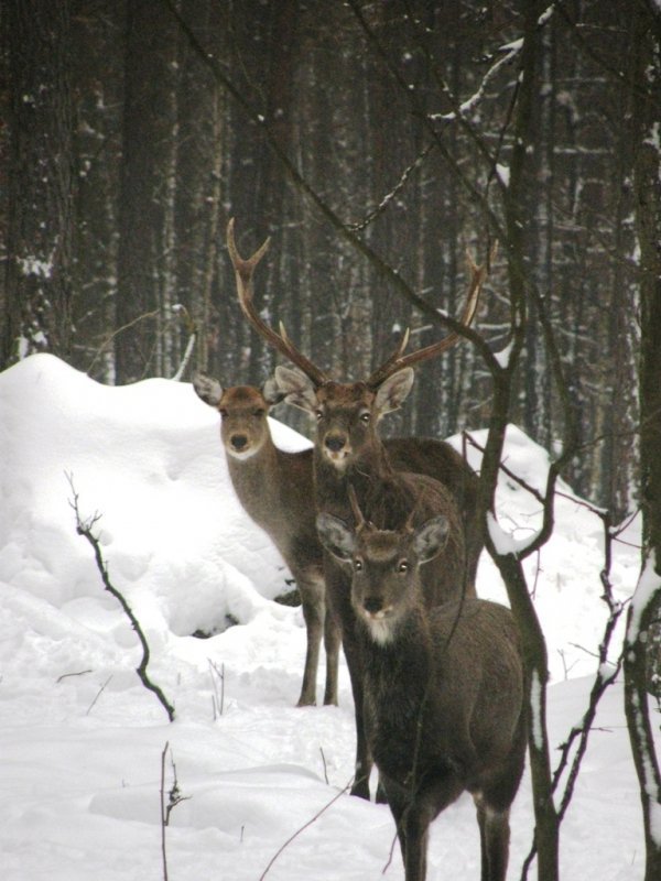 Фотовиставка Світлани Зозулі