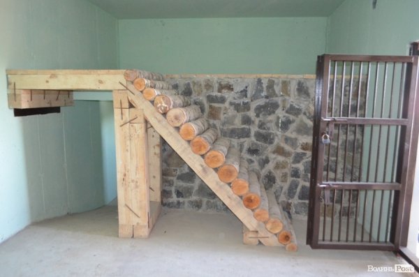 У Луцьку поляки проінспектували хід реконструкції міського зоопарку. ФОТО