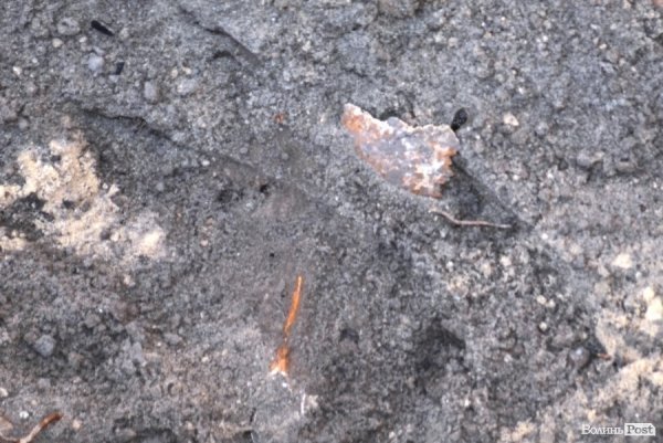 У сквері, в центрі Луцька, знайшли людські рештки. ФОТО